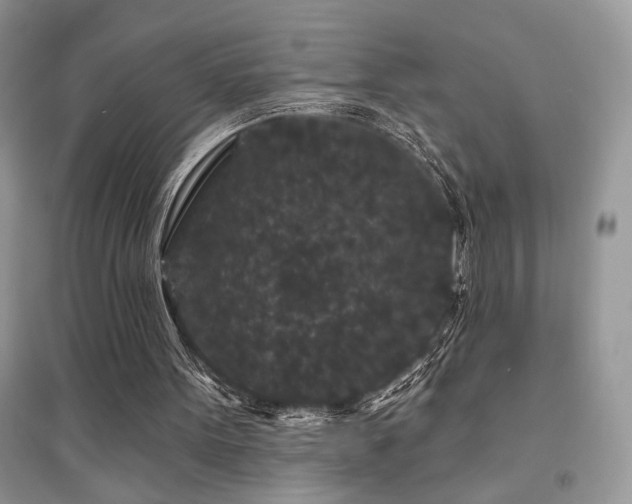 X0000094960099200711291450