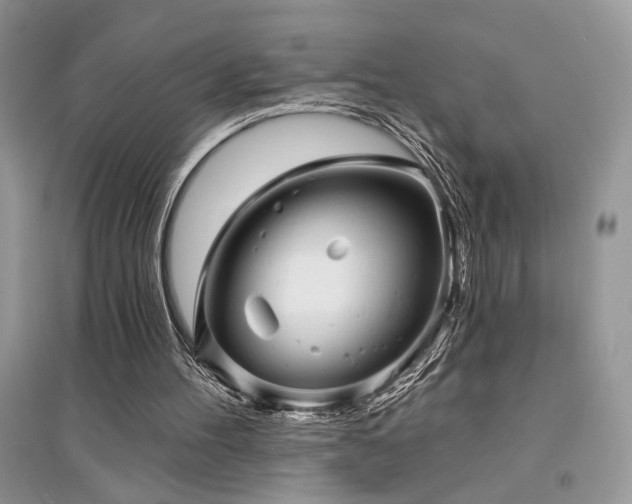 X0000094960100200711291450