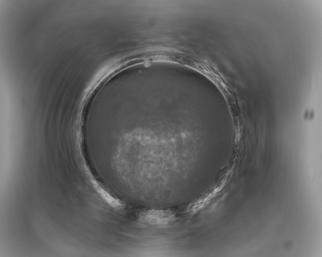 X0000094960101200711291450