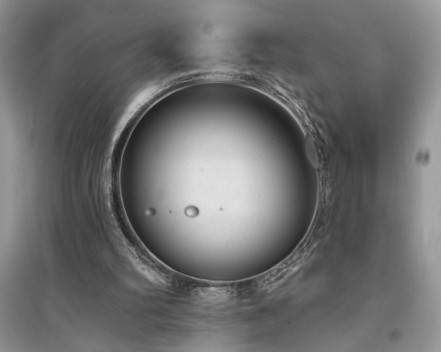 X0000094960102200711291450