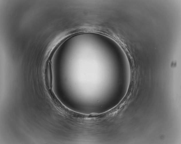 X0000094960103200711291450