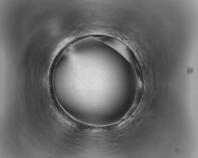 X0000094960104200711291450