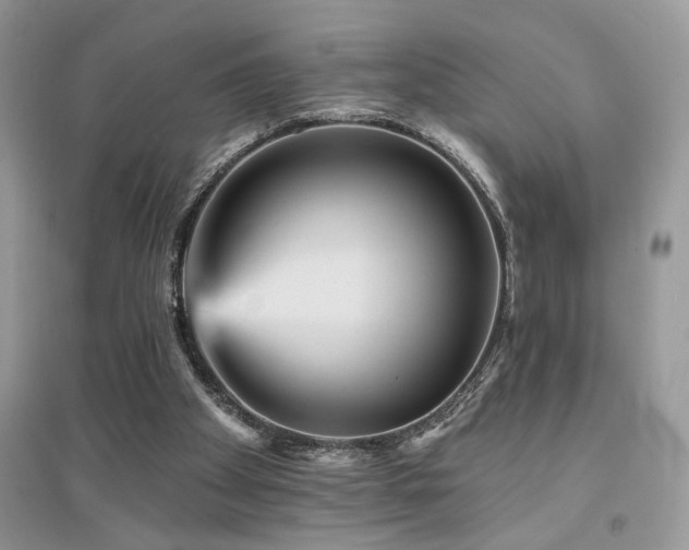 X0000094960105200711291450