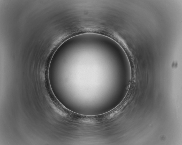 X0000094960106200711291450