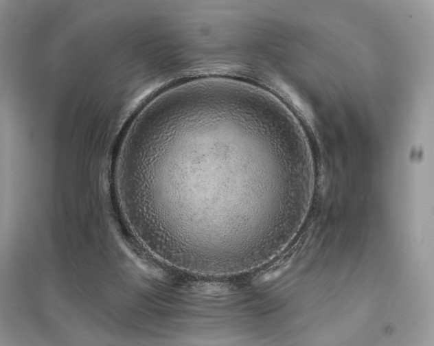 X0000094960107200711291450