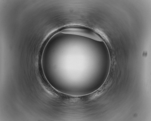 X0000094960108200711291450