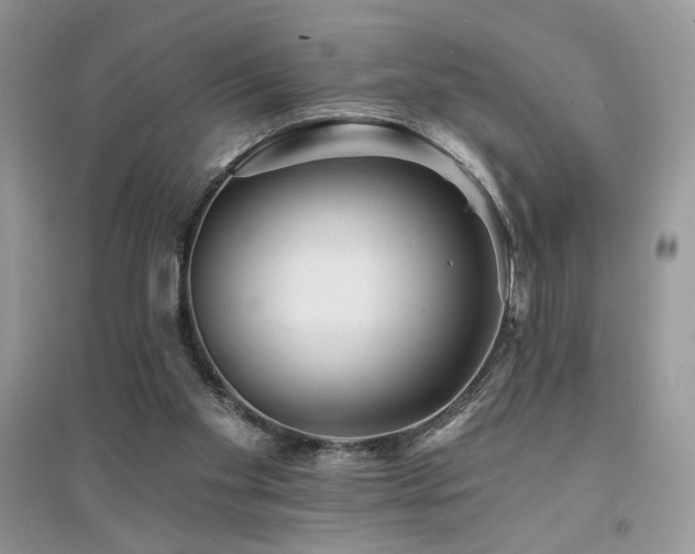 X0000094960109200711291450