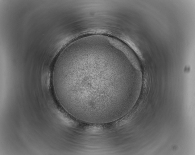 X0000094960110200711291450