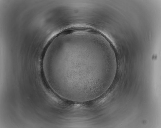 X0000094960111200711291450