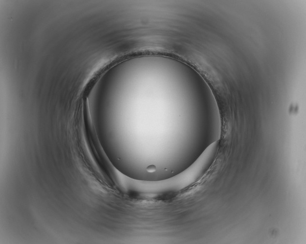 X0000094960112200711291449