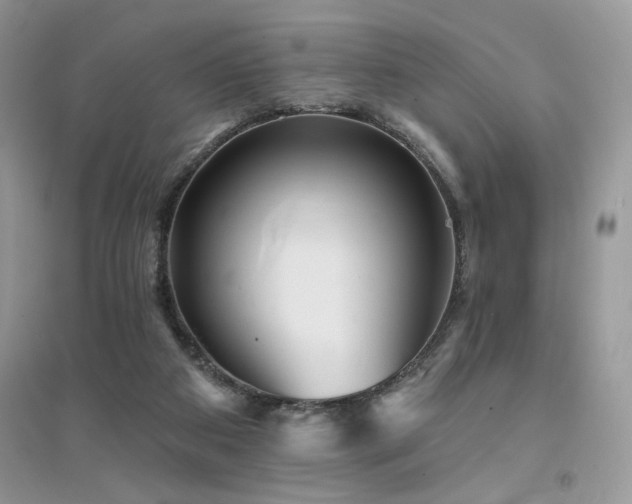 X0000094960113200711291449