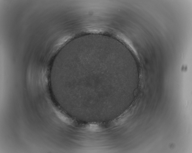 X0000094960114200711291449