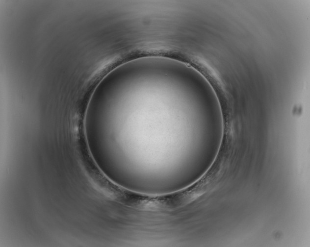 X0000094960115200711291449