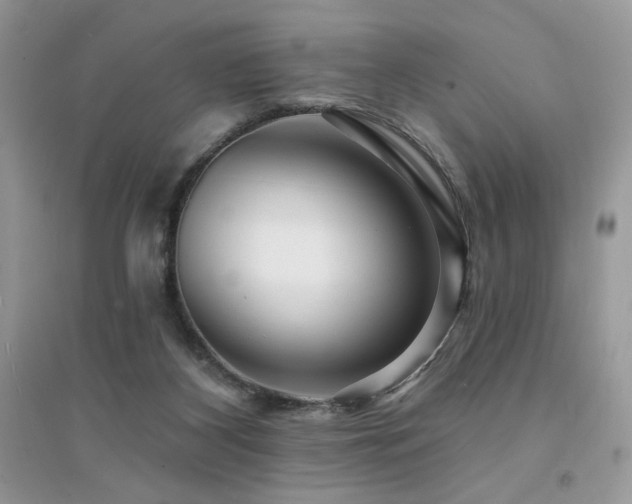 X0000094960116200711291449