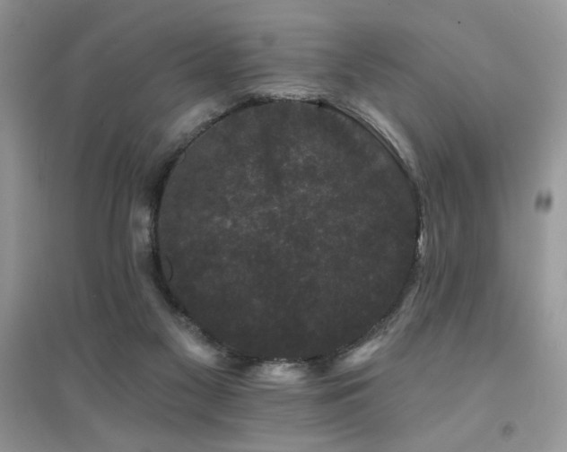 X0000094960117200711291449