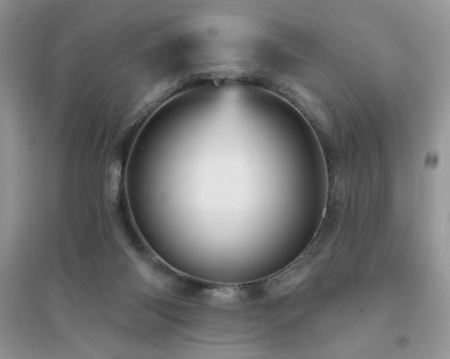 X0000094960118200711291449