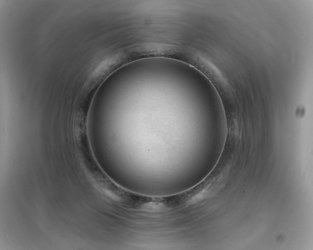 X0000094960119200711291449