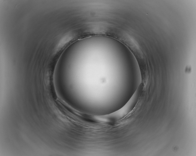 X0000094960120200711291449