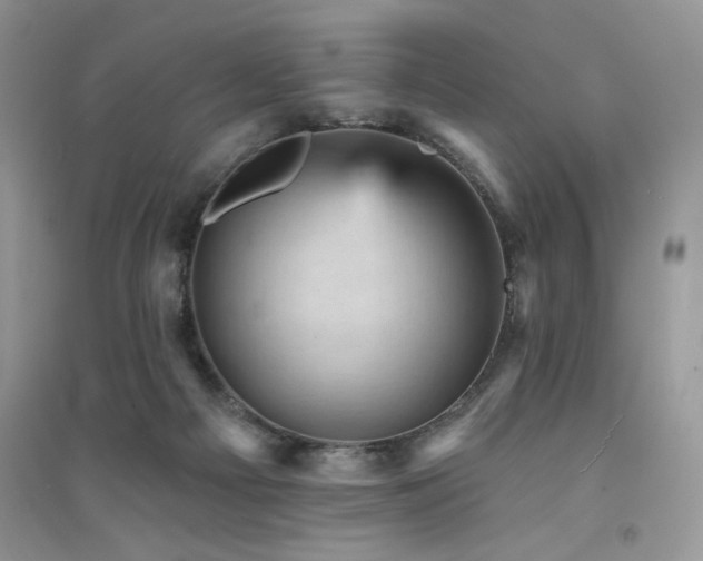 X0000094960121200711291449