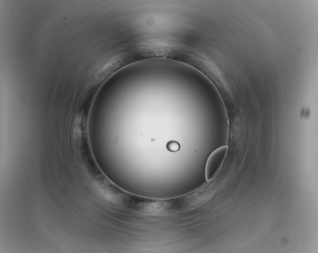 X0000094960122200711291449