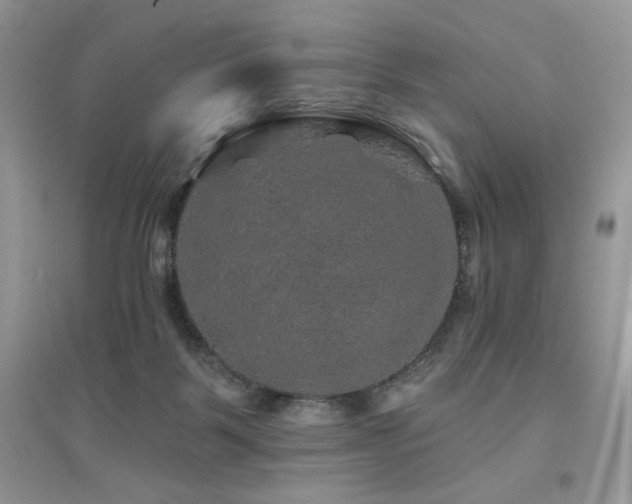 X0000094960123200711291449