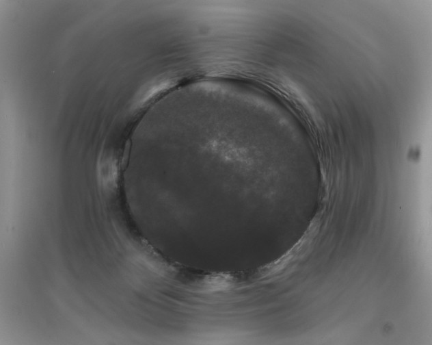 X0000094960124200711291449