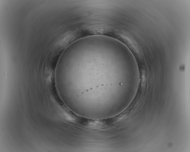 X0000094960125200711291449