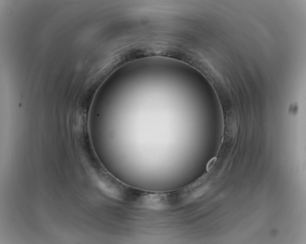 X0000094960126200711291449