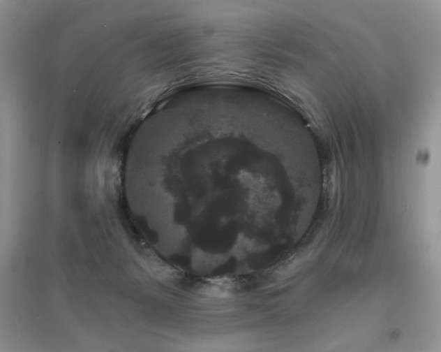 X0000094960127200711291449