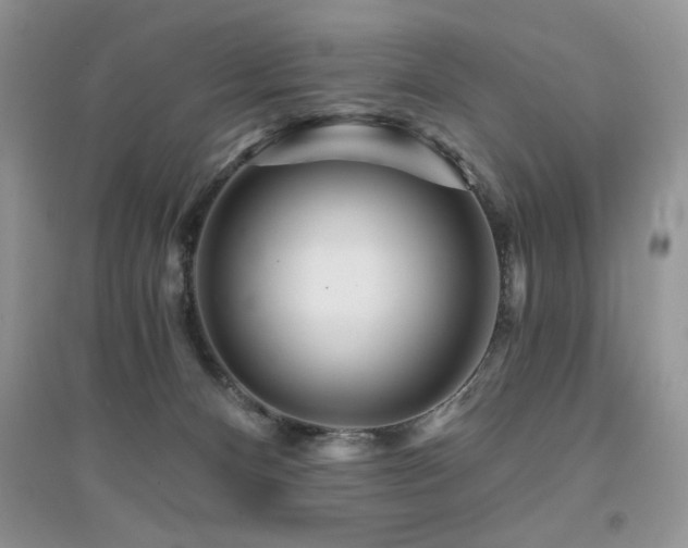 X0000094960128200711291449