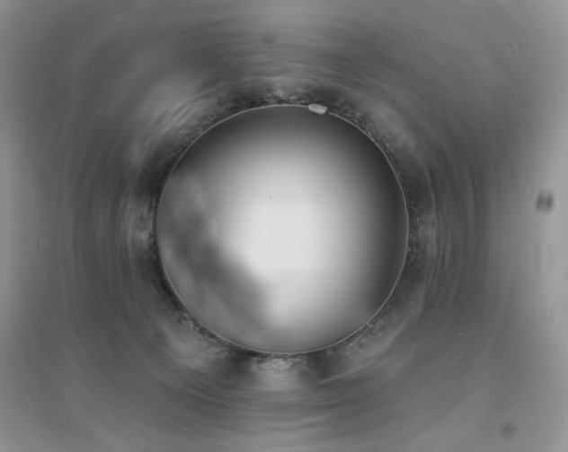 X0000094960129200711291449