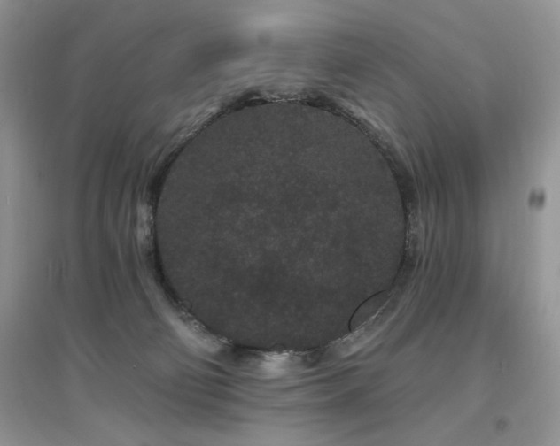 X0000094960130200711291449