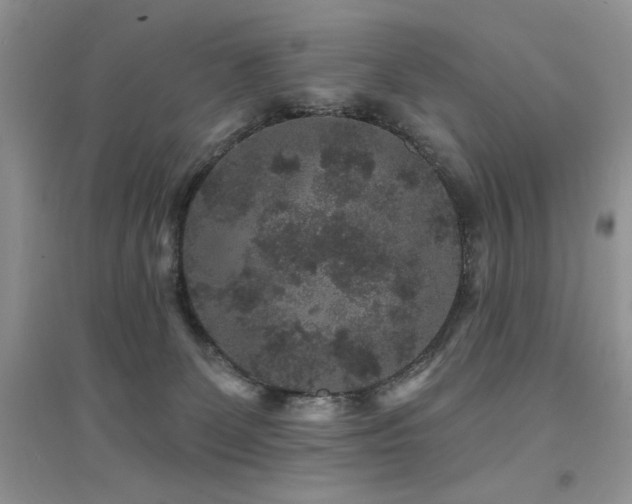 X0000094960131200711291449