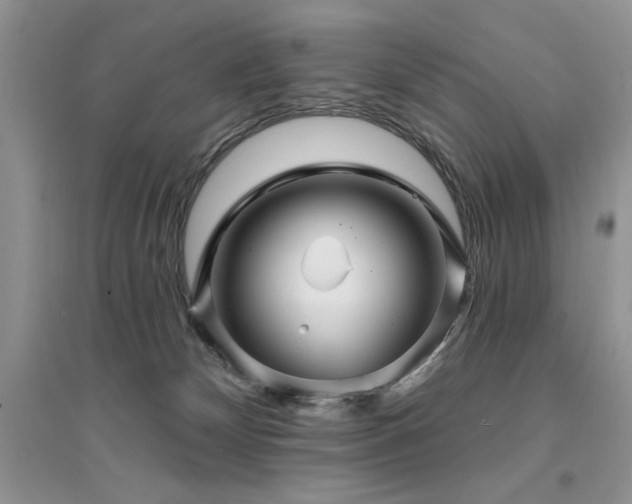 X0000094960132200711291449