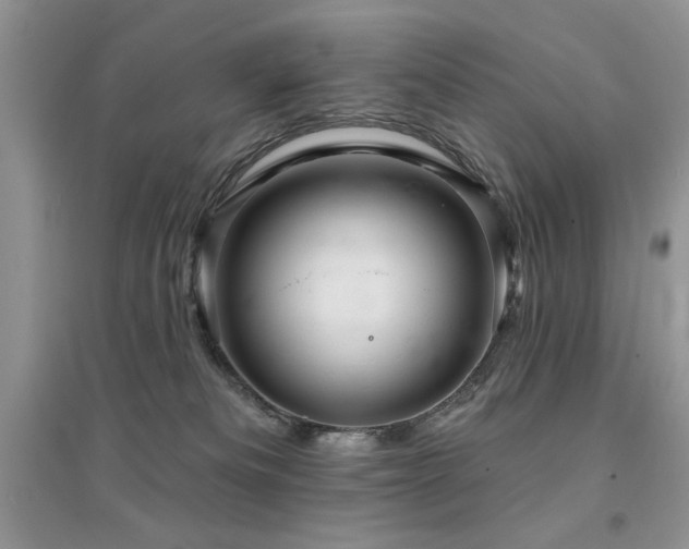 X0000094960133200711291449