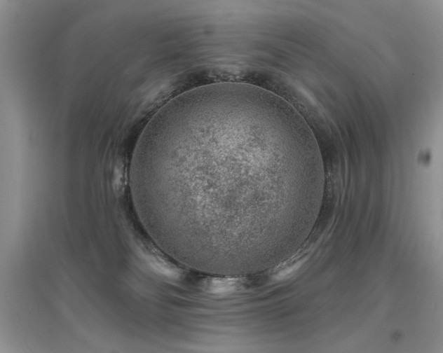 X0000094960134200711291449