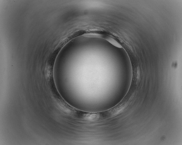 X0000094960135200711291449