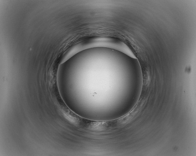 X0000094960136200711291449