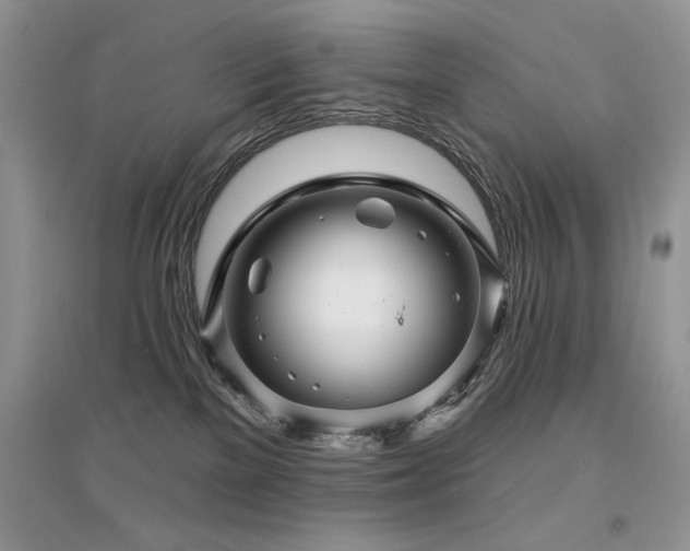 X0000094960137200711291449