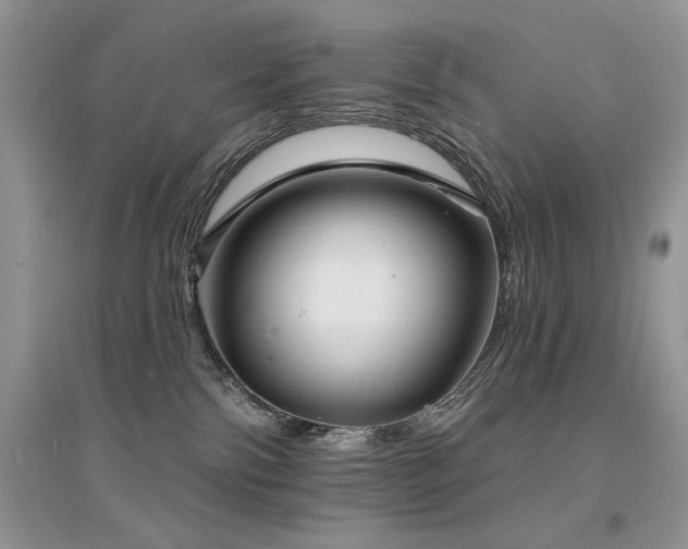 X0000094960138200711291449