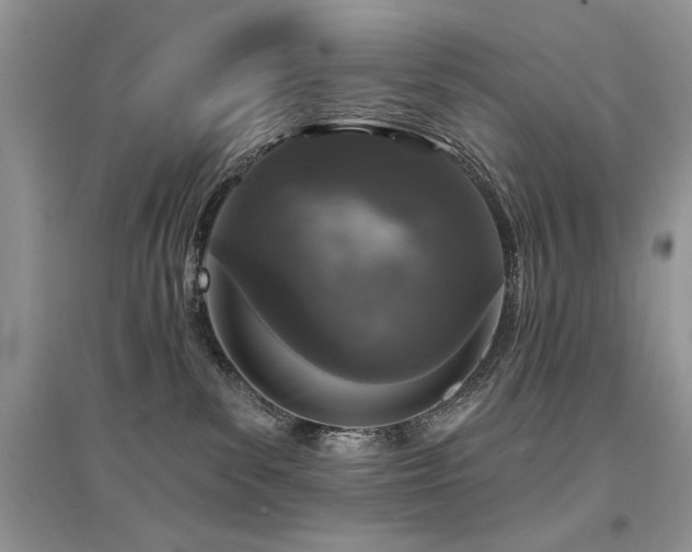 X0000094960139200711291449