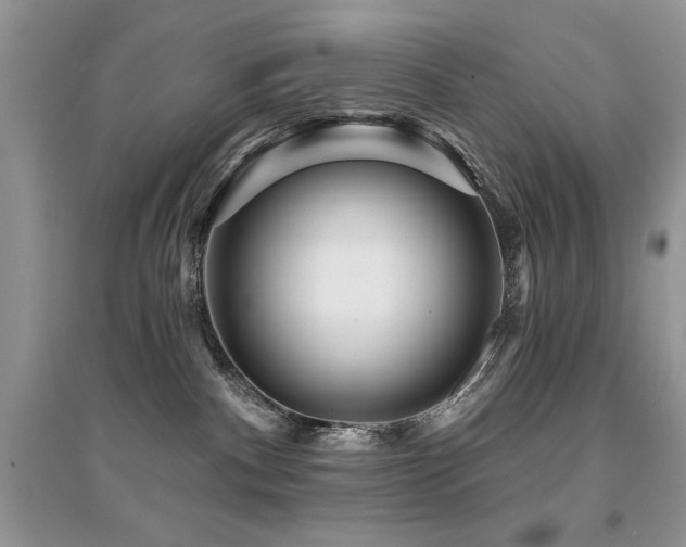 X0000094960140200711291449