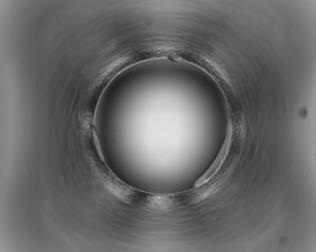 X0000094960141200711291449