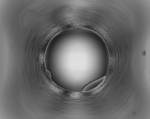 X0000094960142200711291449