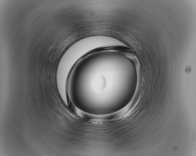 X0000094960144200711291449