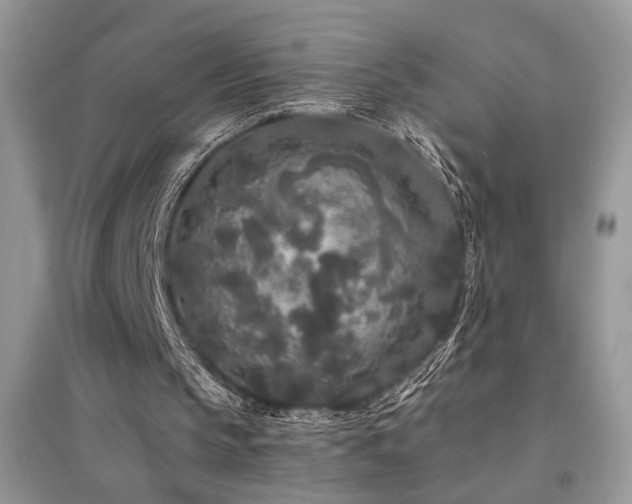 X0000094960145200711291448