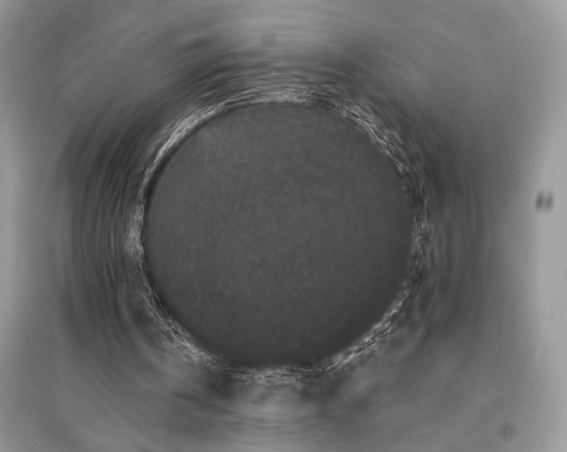 X0000094960146200711291448