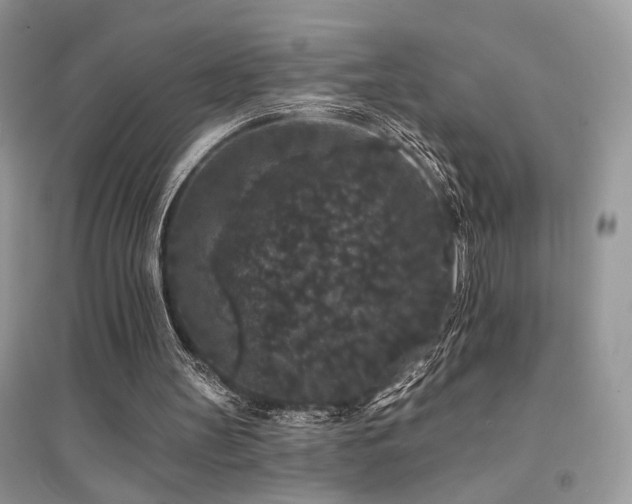 X0000094960147200711291448