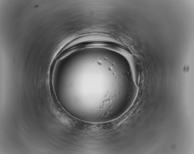 X0000094960148200711291448