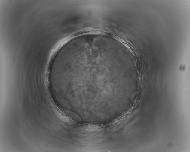 X0000094960149200711291448